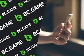 Experience the Thrills of BC.Game Casino A Comprehensive Guide