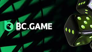 Exploring the BC.Game Hub A Comprehensive Guide to Online Gaming